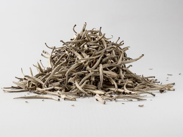 Srebrna końcówka. 50gr